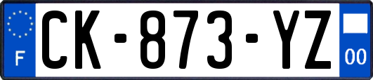 CK-873-YZ