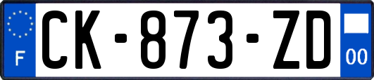 CK-873-ZD