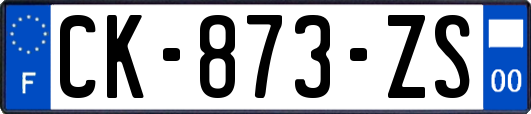 CK-873-ZS