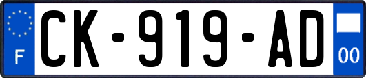 CK-919-AD