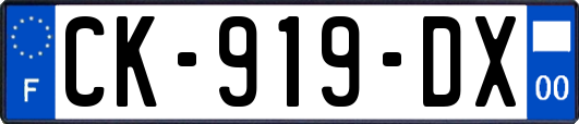 CK-919-DX
