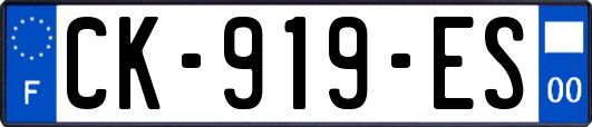 CK-919-ES