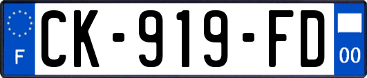 CK-919-FD