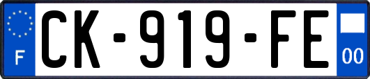 CK-919-FE