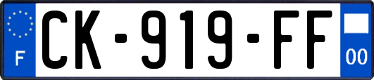 CK-919-FF