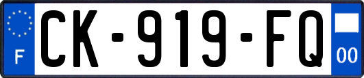 CK-919-FQ