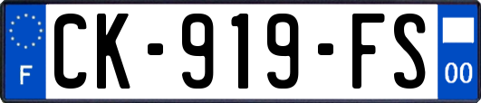 CK-919-FS
