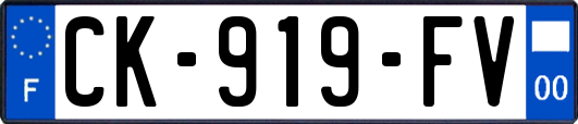 CK-919-FV