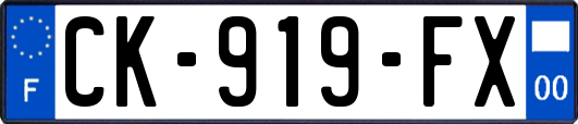 CK-919-FX