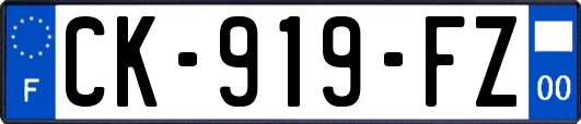 CK-919-FZ