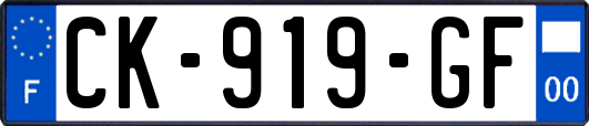 CK-919-GF