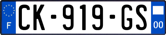 CK-919-GS
