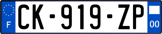 CK-919-ZP