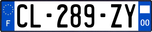 CL-289-ZY