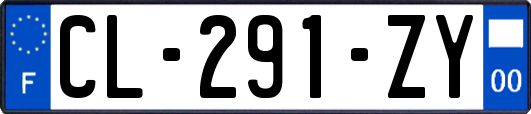 CL-291-ZY