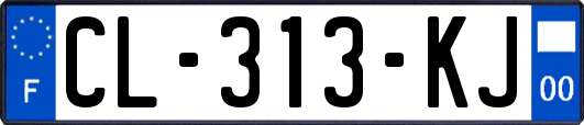 CL-313-KJ