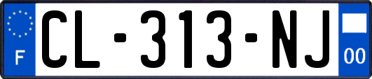 CL-313-NJ