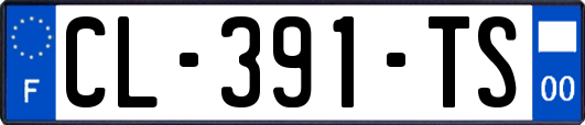 CL-391-TS