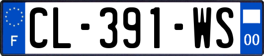 CL-391-WS