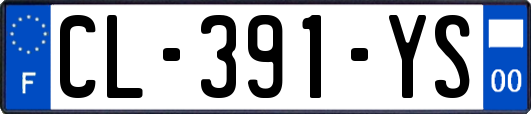 CL-391-YS