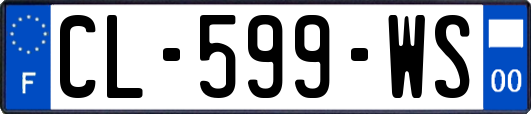 CL-599-WS