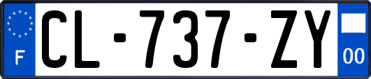 CL-737-ZY