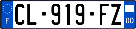 CL-919-FZ