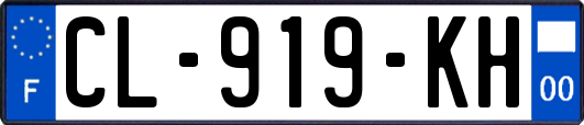 CL-919-KH