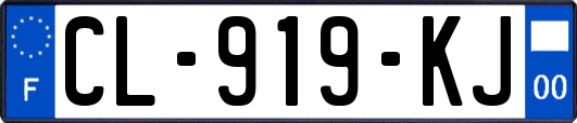 CL-919-KJ