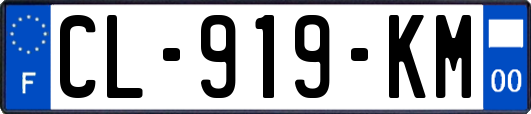 CL-919-KM