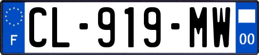 CL-919-MW