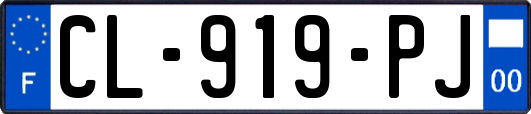 CL-919-PJ