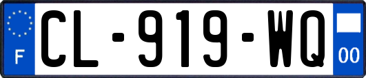 CL-919-WQ