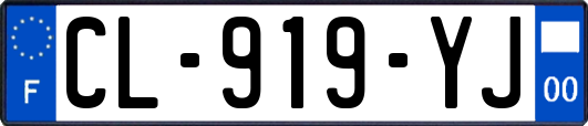 CL-919-YJ