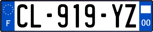 CL-919-YZ