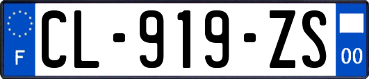 CL-919-ZS
