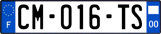 CM-016-TS
