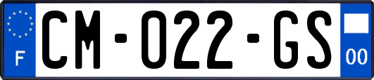 CM-022-GS