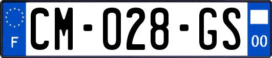 CM-028-GS