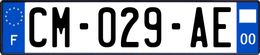 CM-029-AE