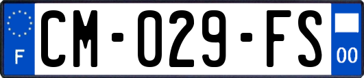 CM-029-FS
