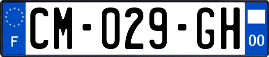 CM-029-GH