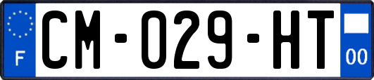 CM-029-HT