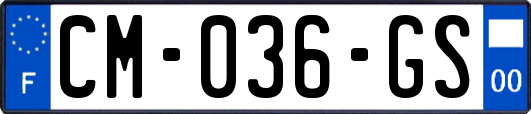 CM-036-GS