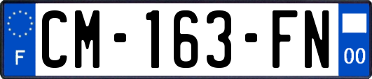 CM-163-FN