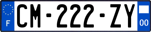 CM-222-ZY