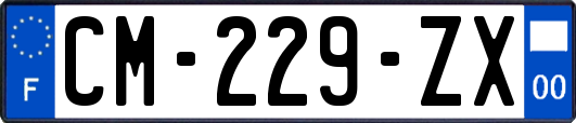 CM-229-ZX