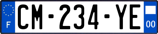 CM-234-YE