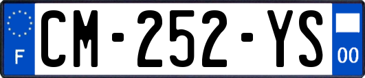 CM-252-YS