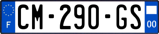 CM-290-GS